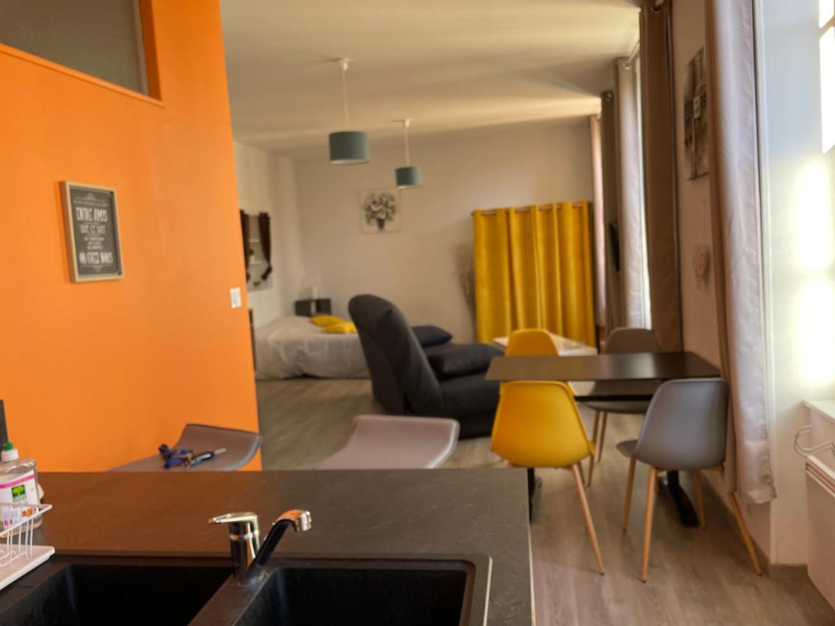 Millau Superbe Studio 35M2 Centre Ville Calme Et Ajoure Екстериор снимка